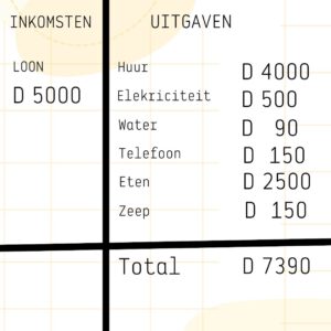 Het huishoudboekje van...